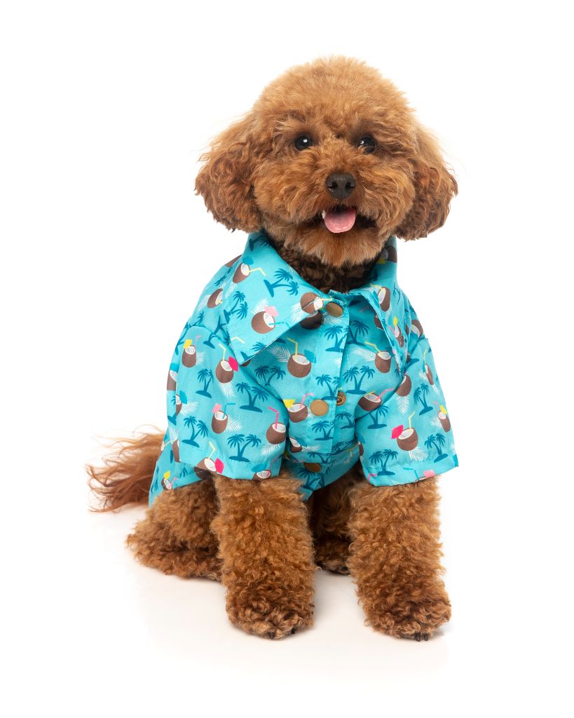 Camisa para perros Blue Oasis
