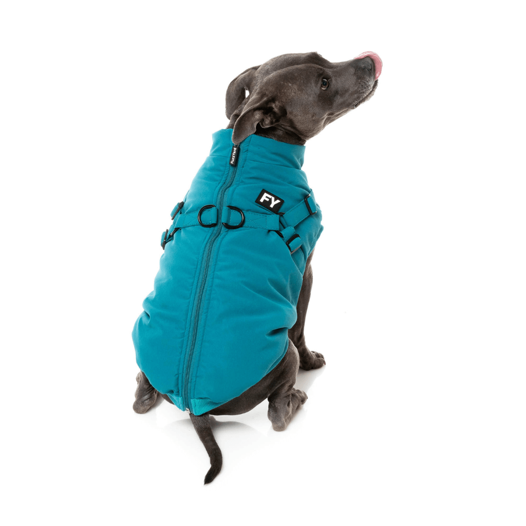 FuzzYard Jacket - Flash - Dark Teal