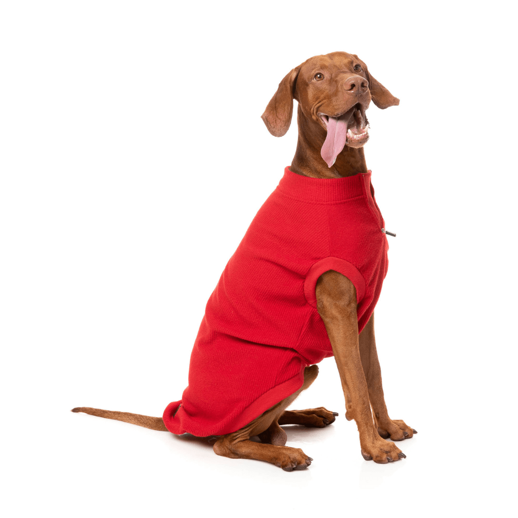 Maglione FuzzYard - Cambridge - Rosso