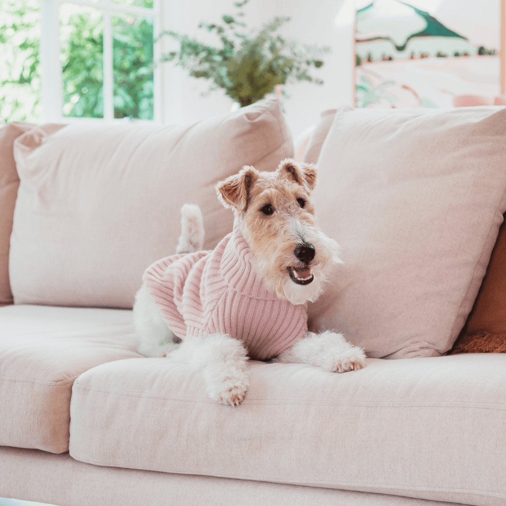 Soft Blush - Maglione lavorato a maglia FuzzYard Life