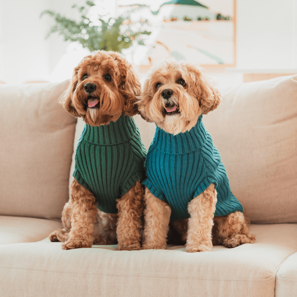 Blu francese - Maglione lavorato a maglia FuzzYard Life