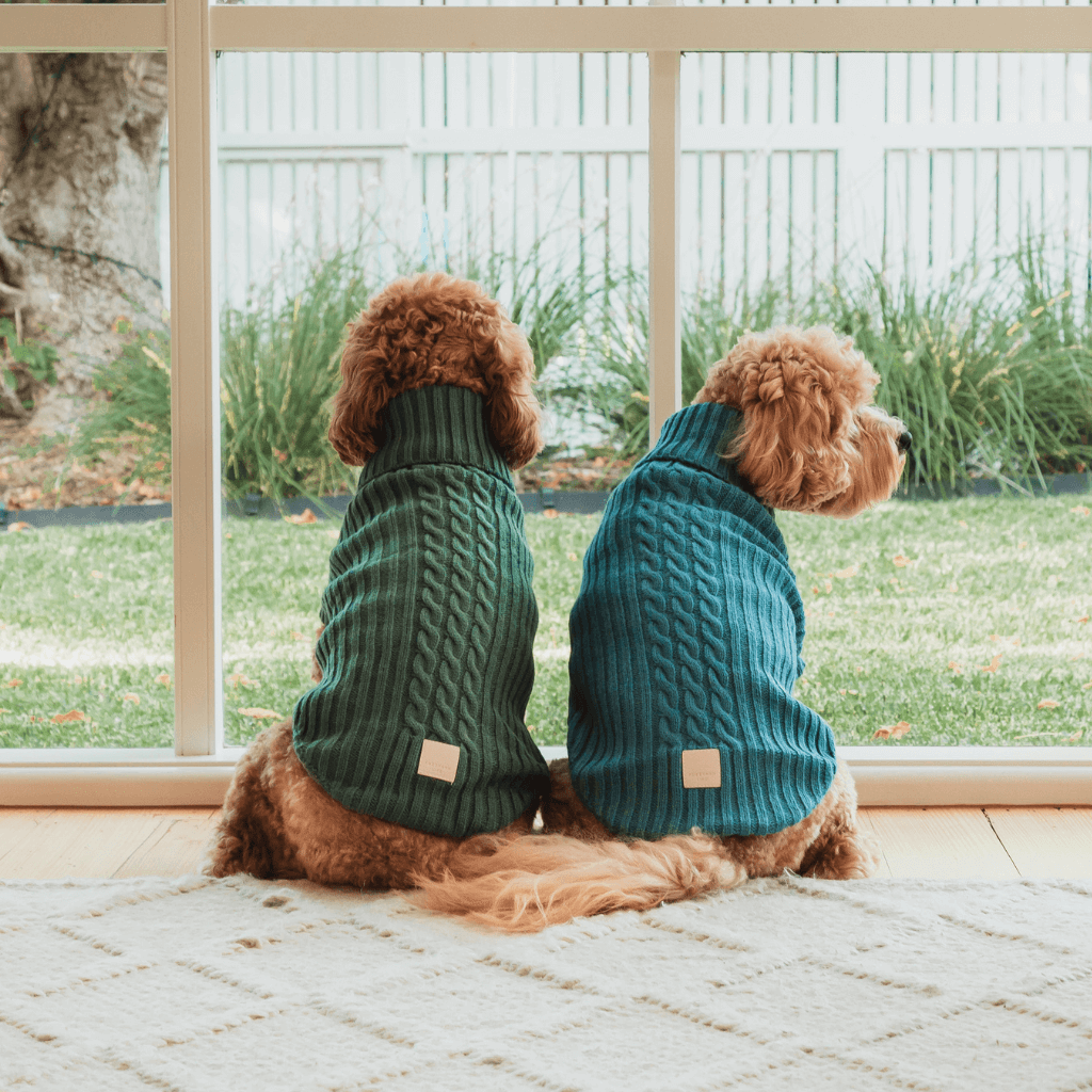 Blu francese - Maglione lavorato a maglia FuzzYard Life