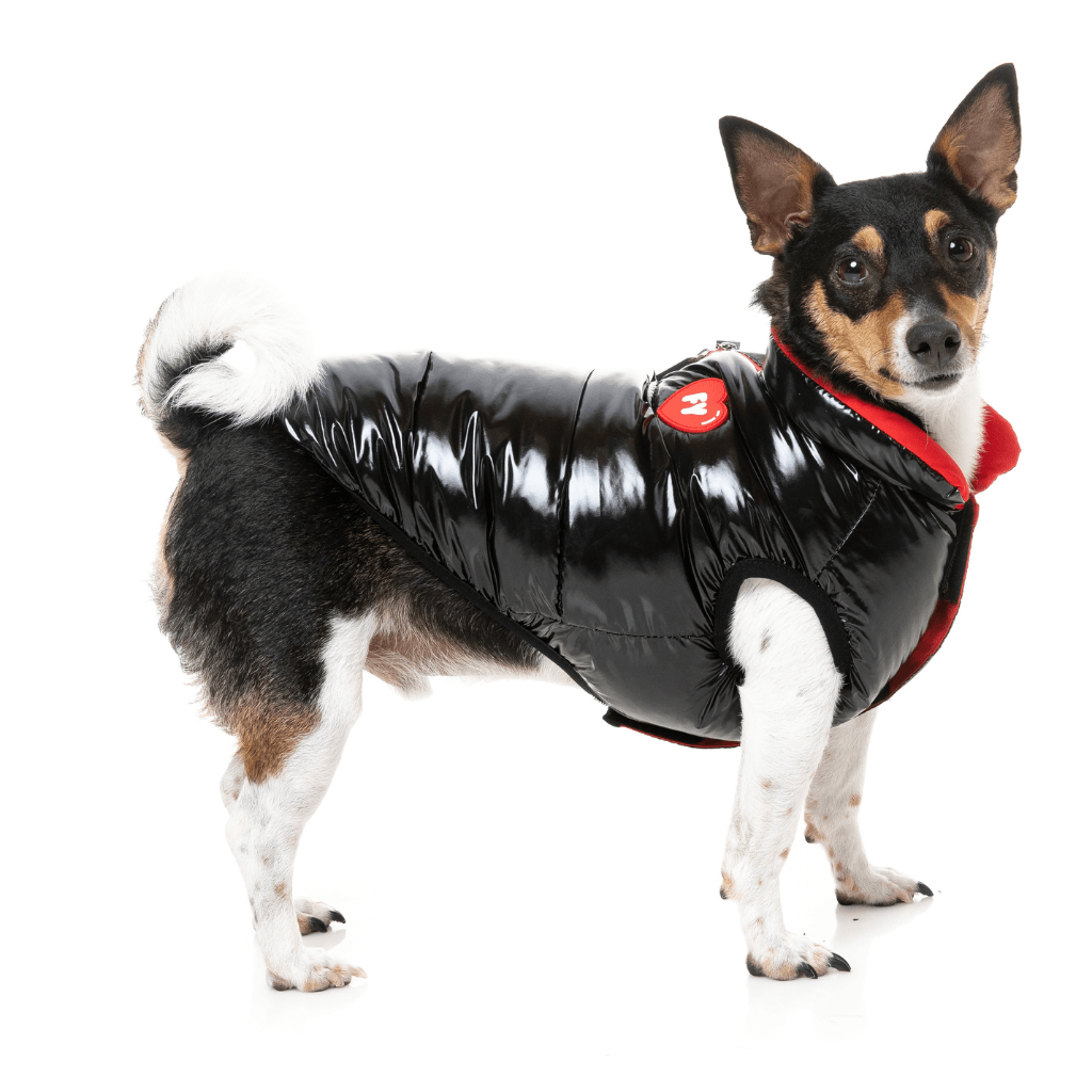 Giacca FuzzYard - Love Puffer - Nero