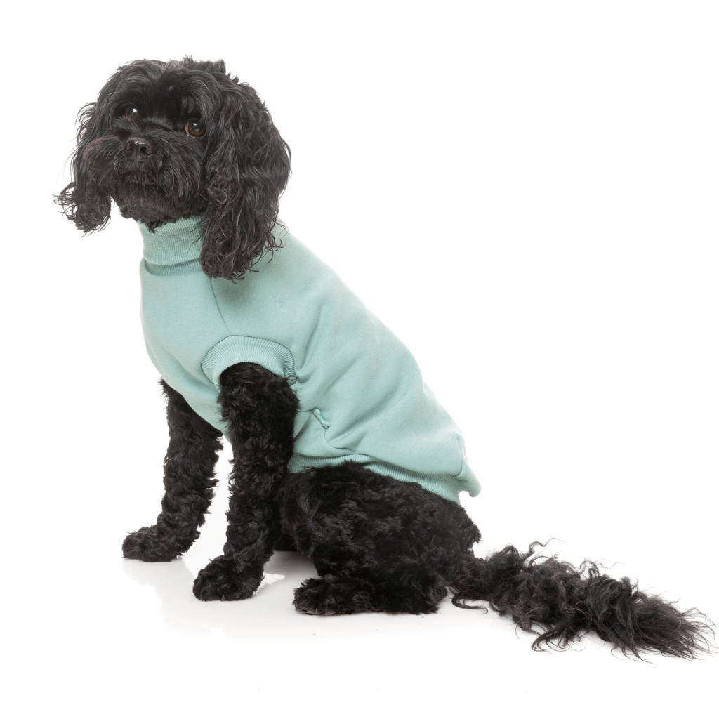 Maglione FuzzYard - Stevie 24 - Menta