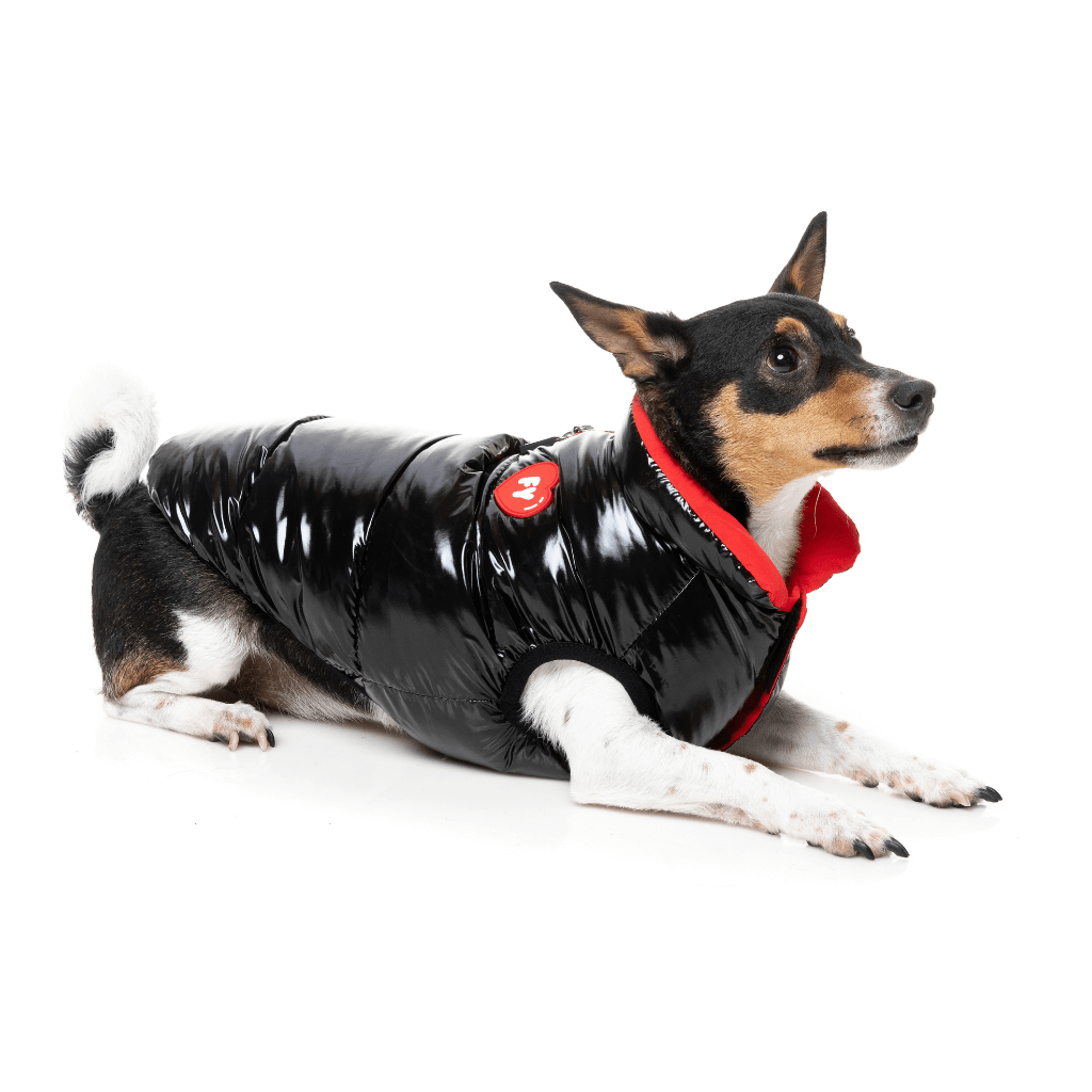 Giacca FuzzYard - Love Puffer - Nero