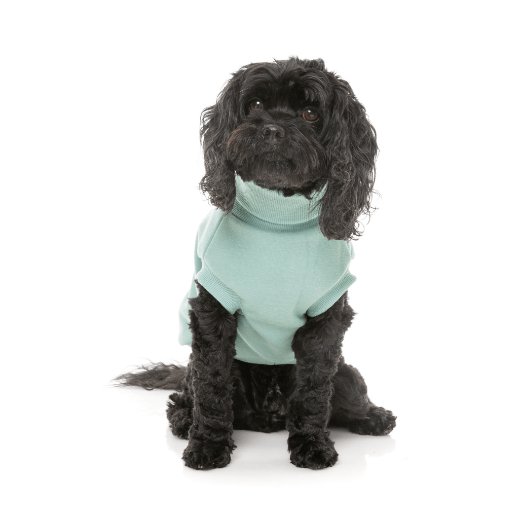 Maglione FuzzYard - Stevie 24 - Menta