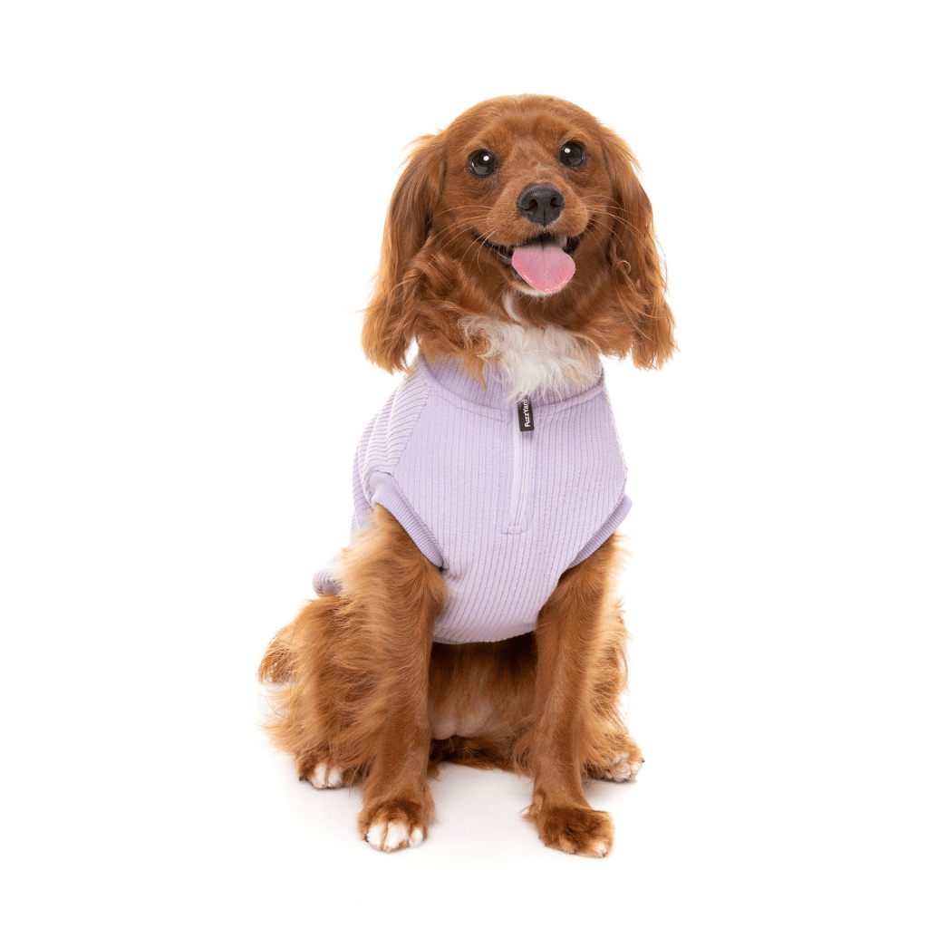 Maglione FuzzYard - Cambridge - Lilla