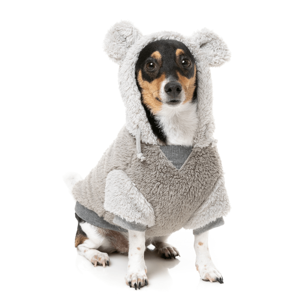 FuzzYard Hoodie - Winnie - Grey