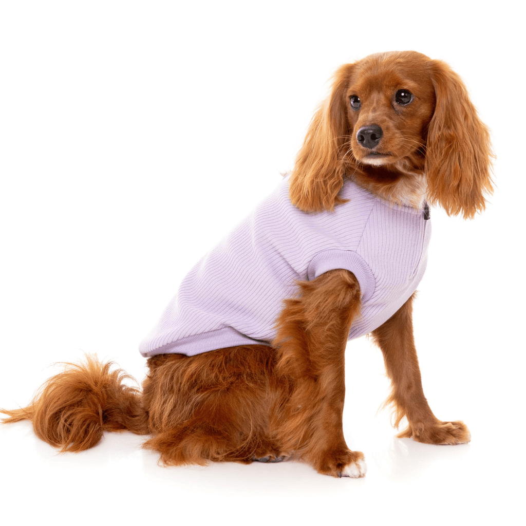 Maglione FuzzYard - Cambridge - Lilla