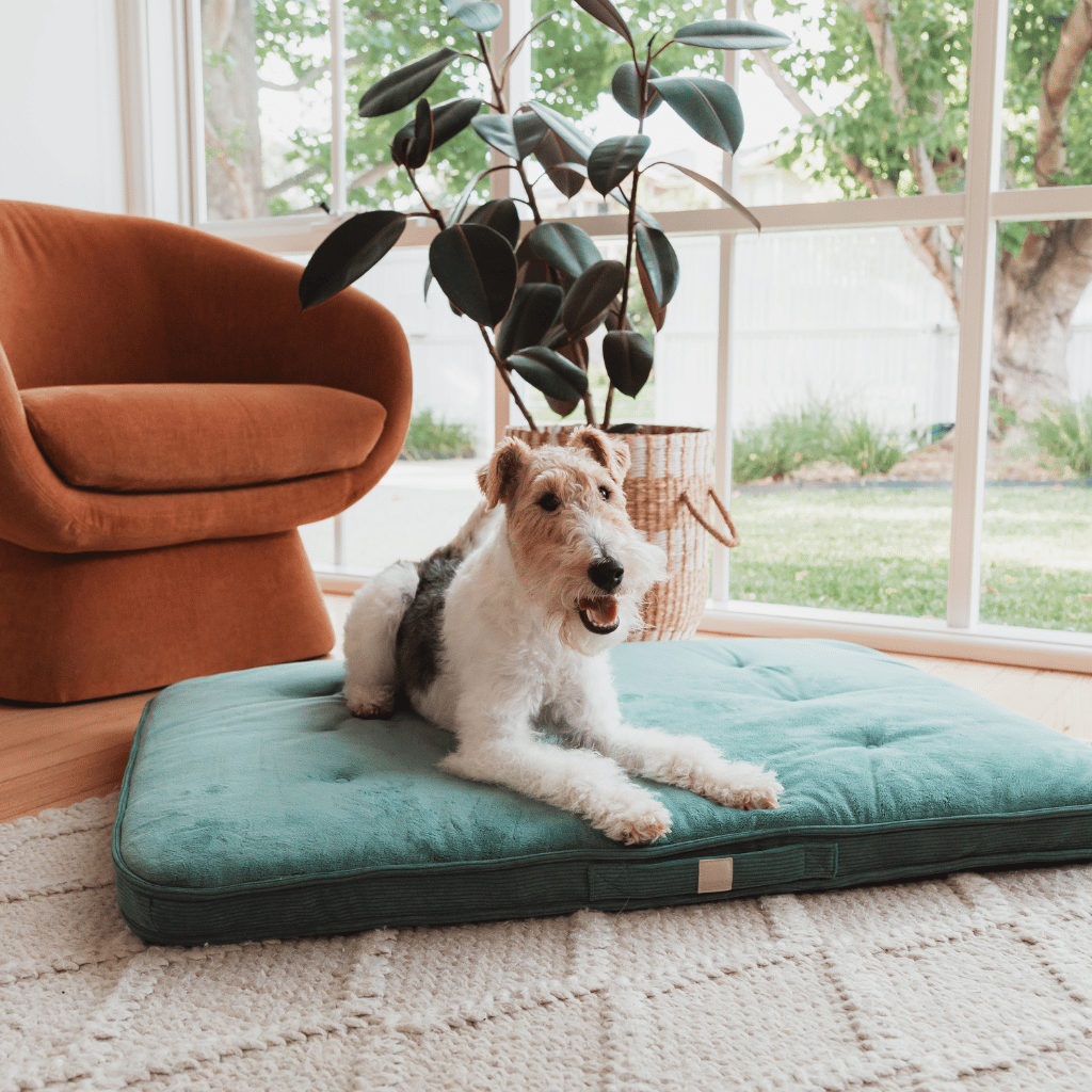 FuzzYard Life Lounge Mat - Myrtle Green