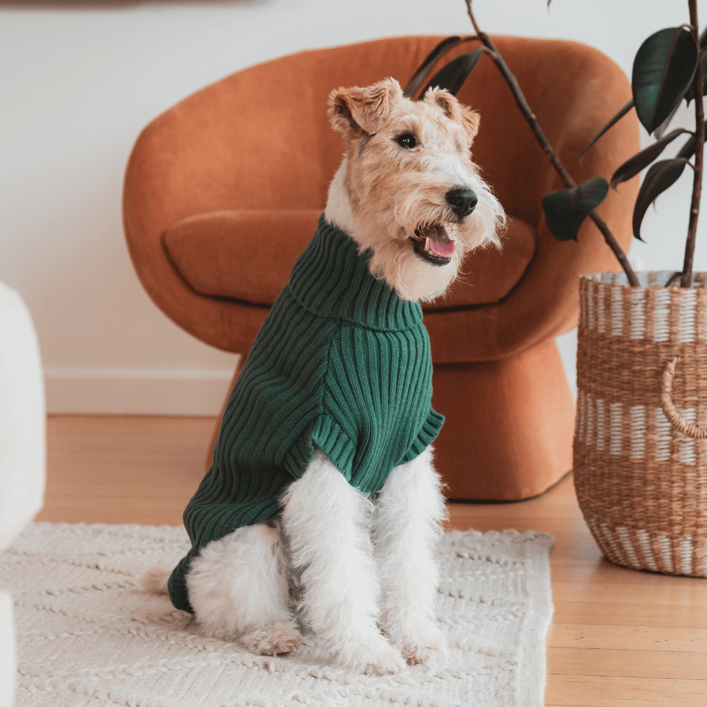Myrtle Green - Maglione lavorato a maglia FuzzYard Life