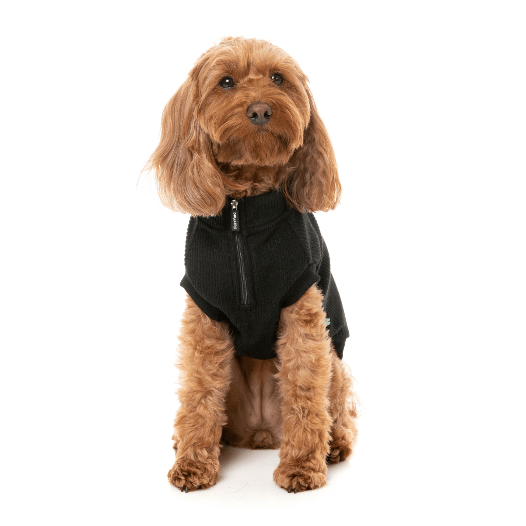 Maglione FuzzYard - Cambridge - Nero