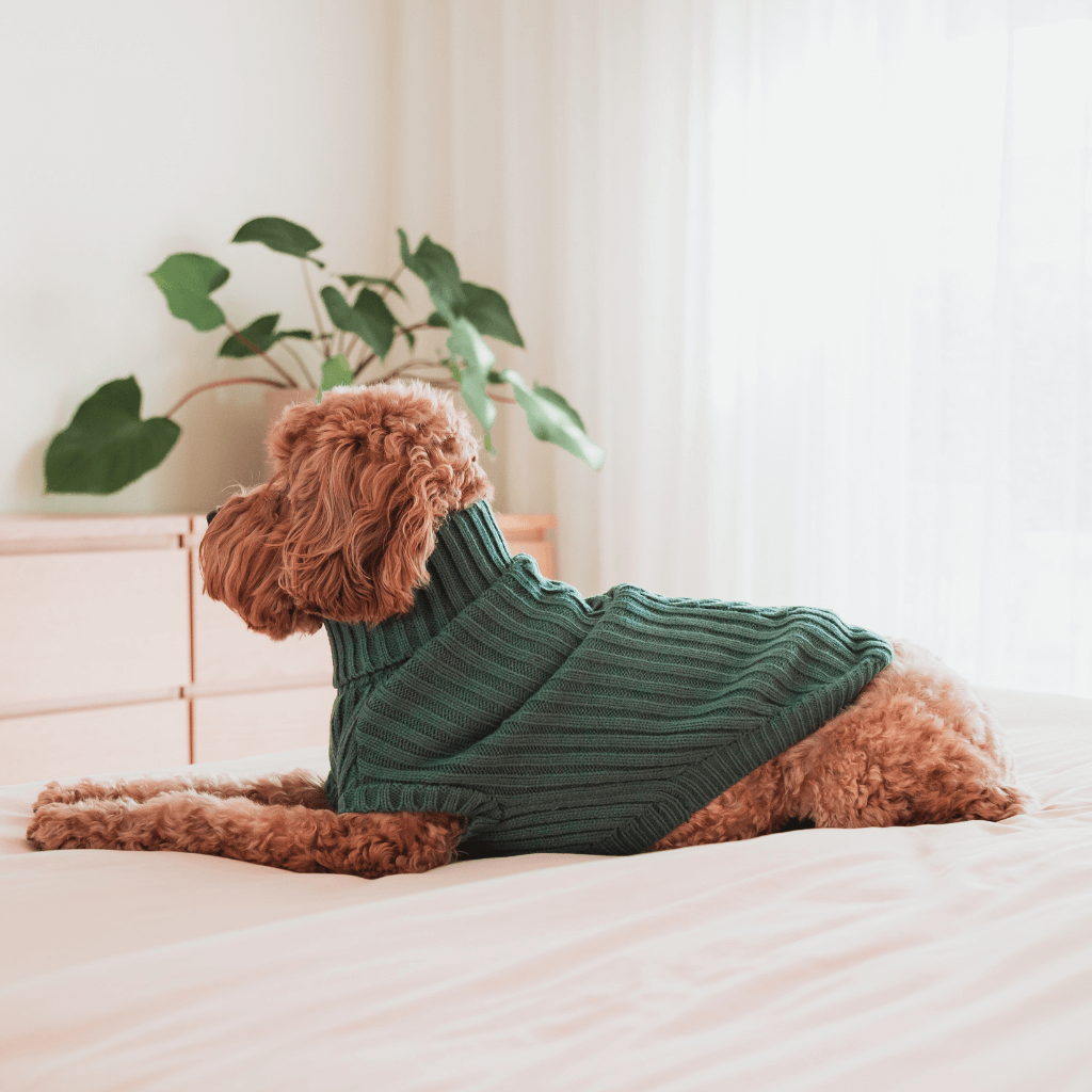 Myrtle Green - Maglione lavorato a maglia FuzzYard Life