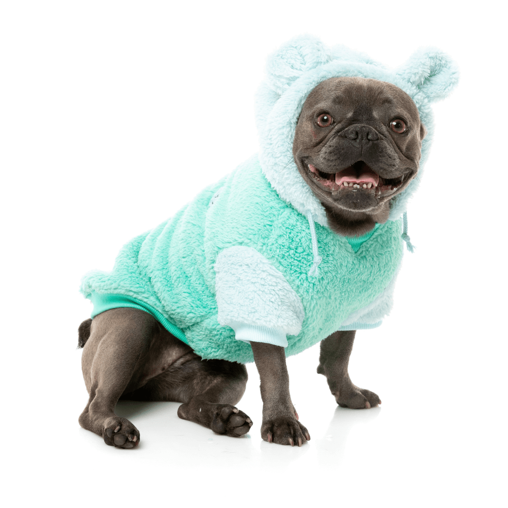 Felpa con cappuccio FuzzYard - Winnie - Verde acqua