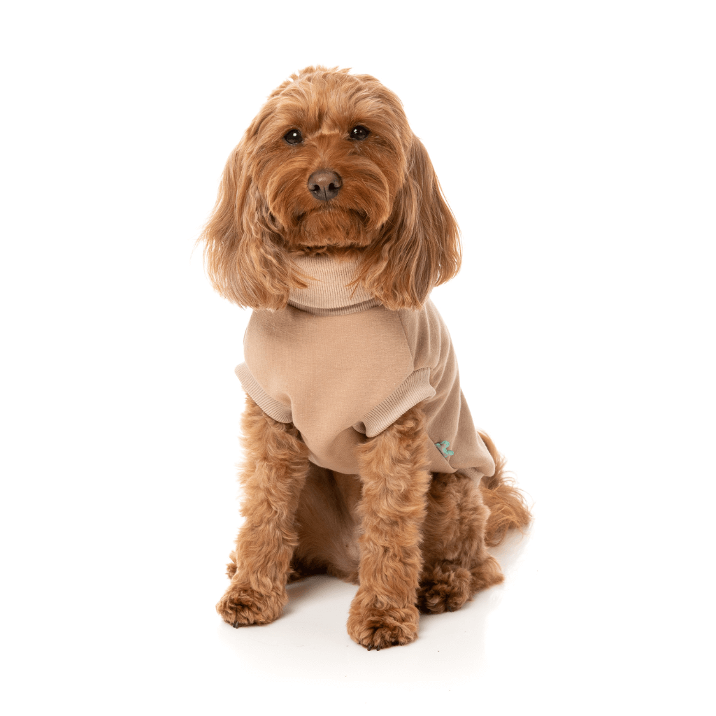 Maglione FuzzYard - Stevie 24 - Beige