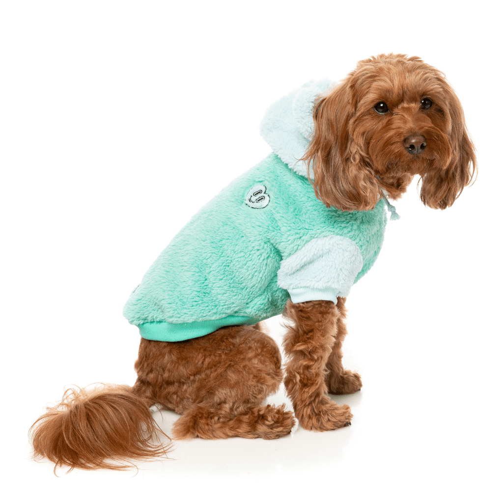 Felpa con cappuccio FuzzYard - Winnie - Verde acqua