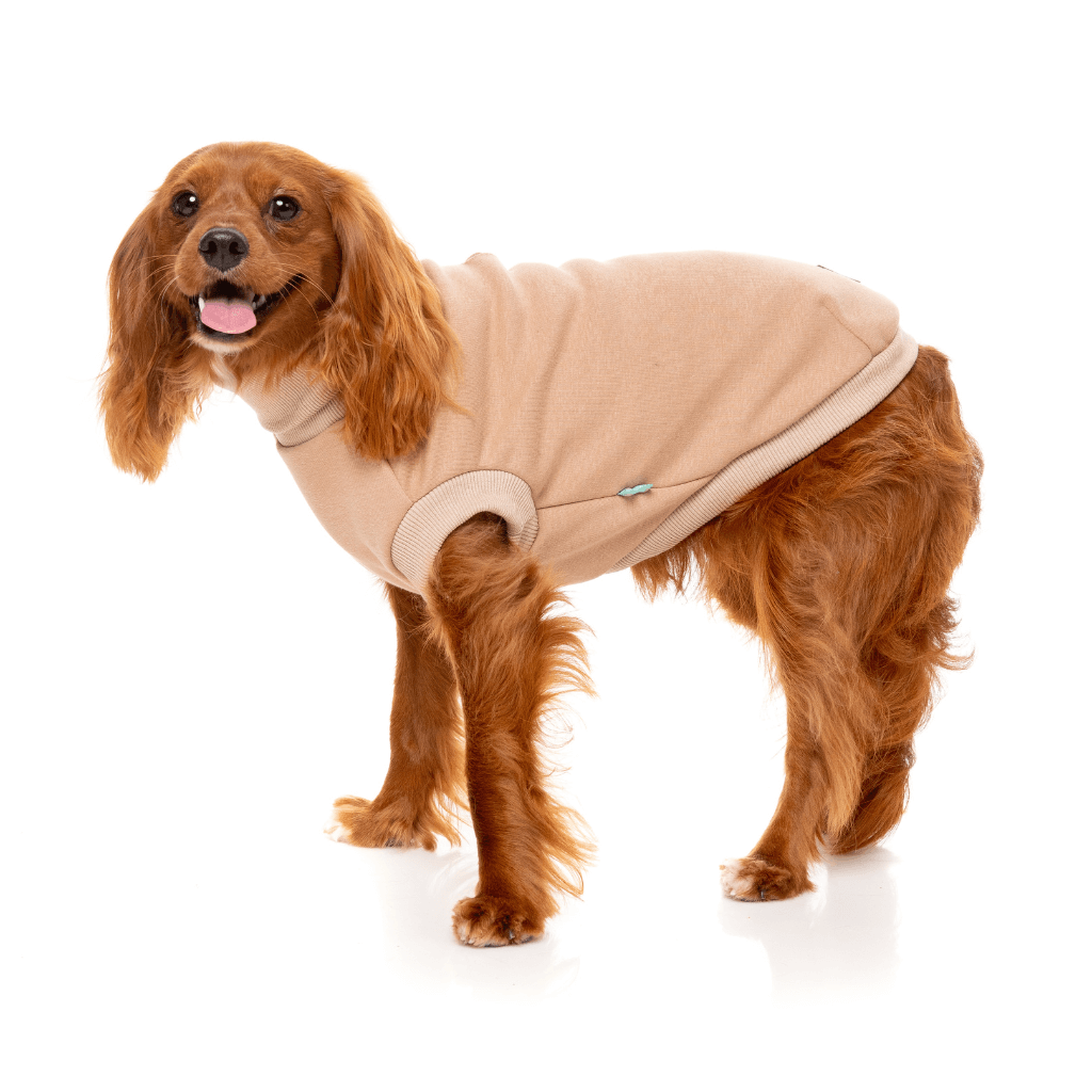 Maglione FuzzYard - Stevie 24 - Beige