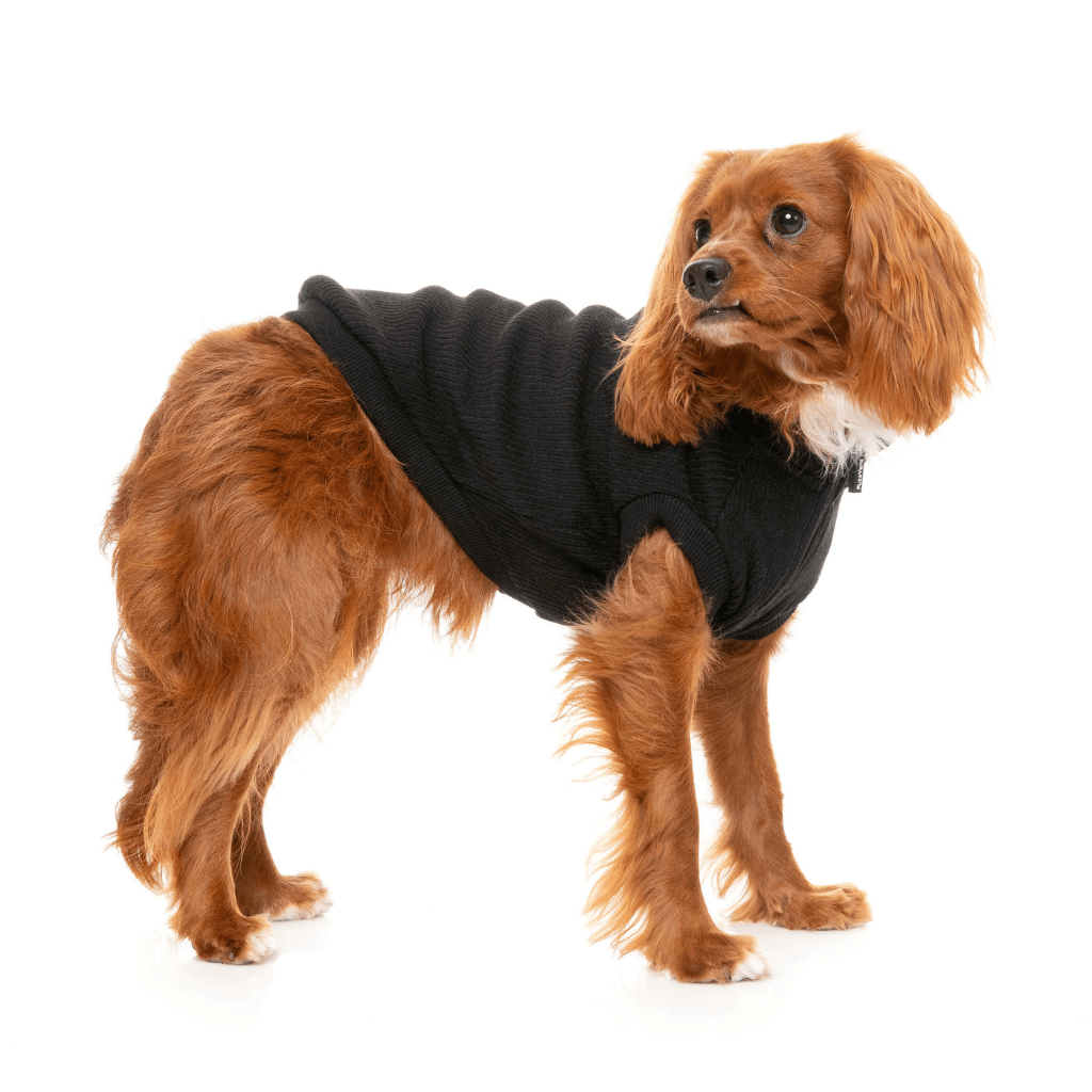 Maglione FuzzYard - Cambridge - Nero