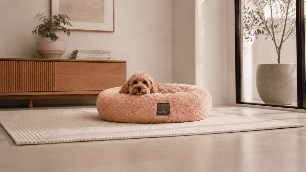 Cucce FuzzYard