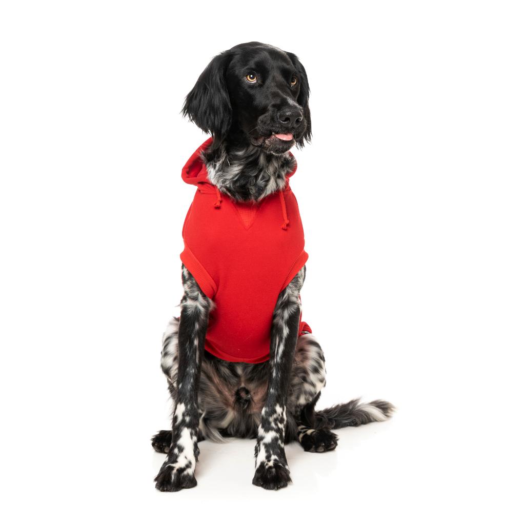 Felpa con cappuccio Zoomies Rosso