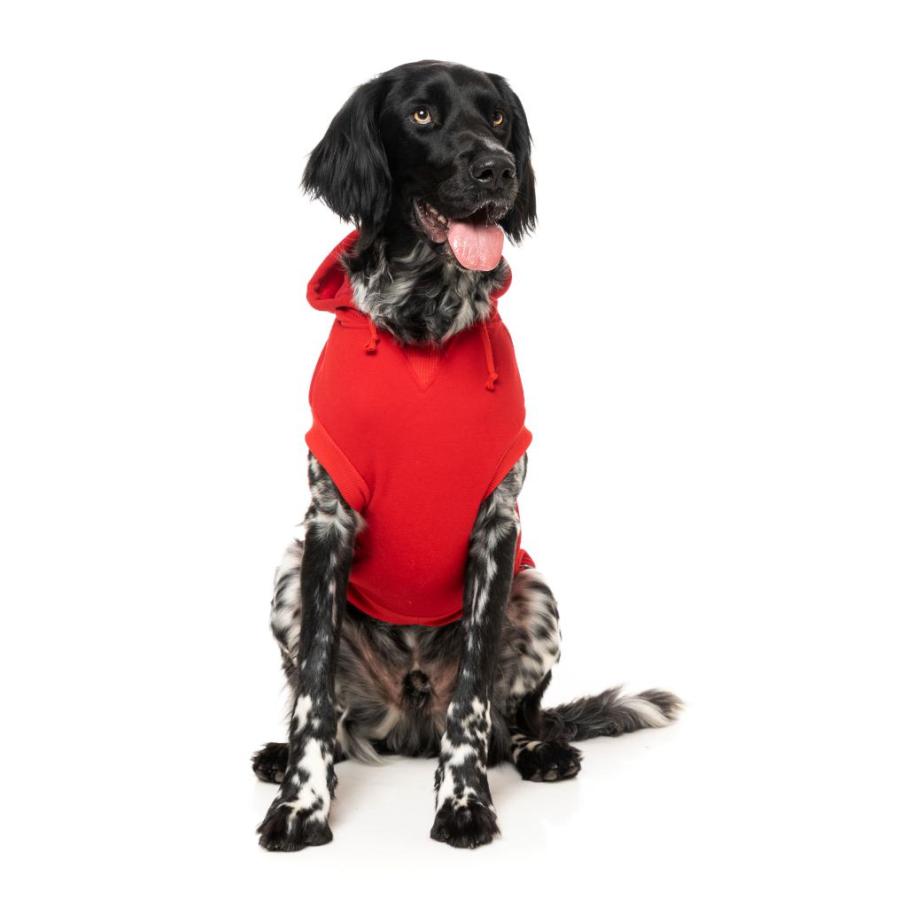 Felpa con cappuccio Zoomies Rosso