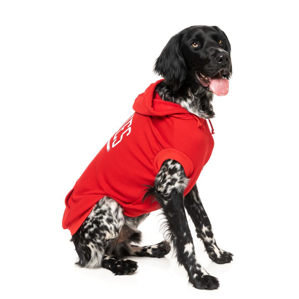 Felpa con cappuccio Zoomies Rosso