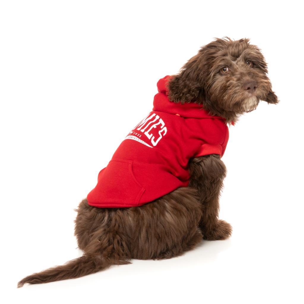 Felpa con cappuccio Zoomies Rosso