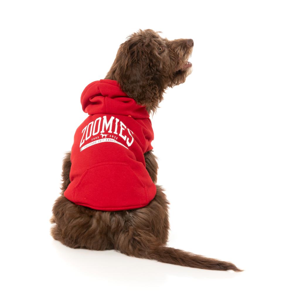 Felpa con cappuccio Zoomies Rosso