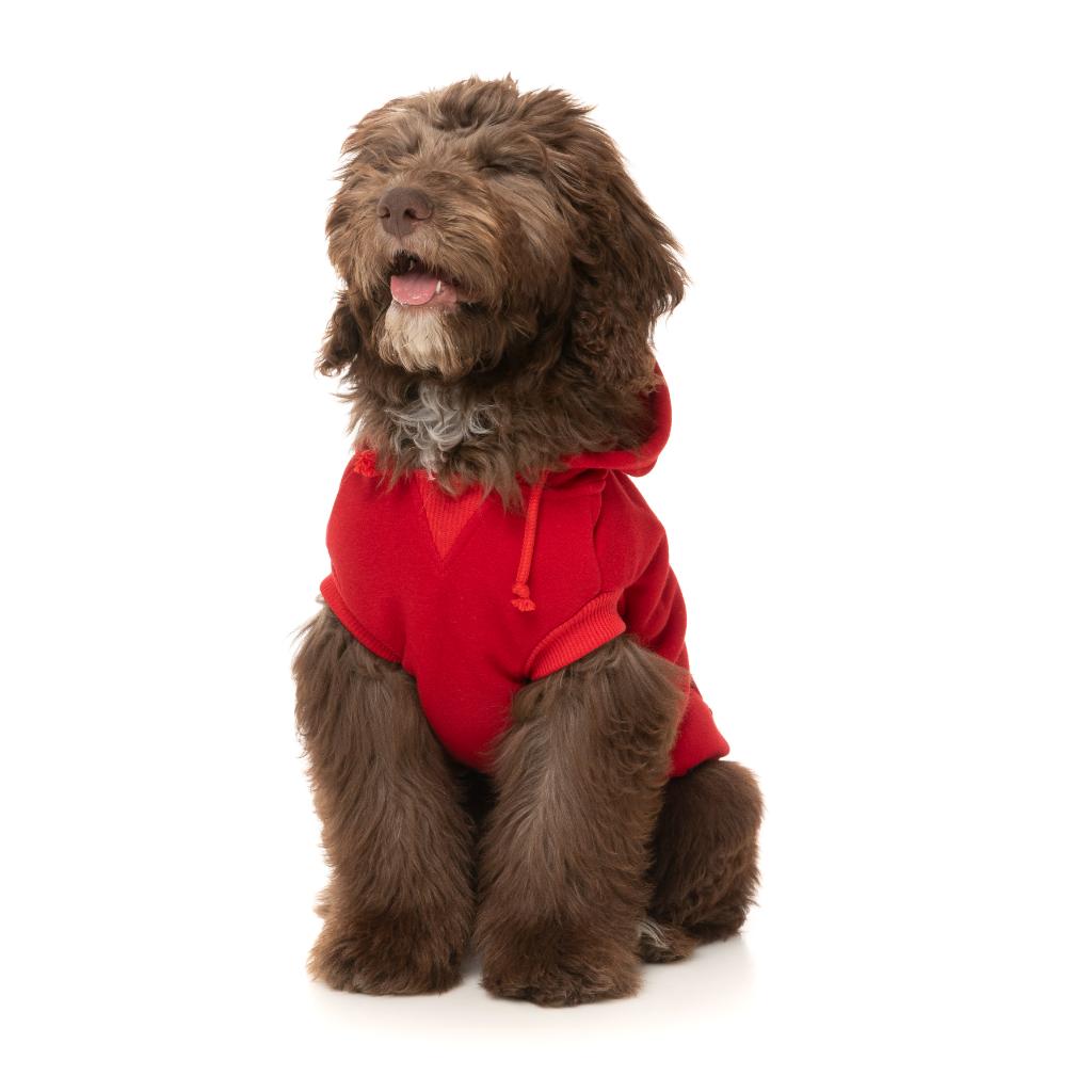 Felpa con cappuccio Zoomies Rosso