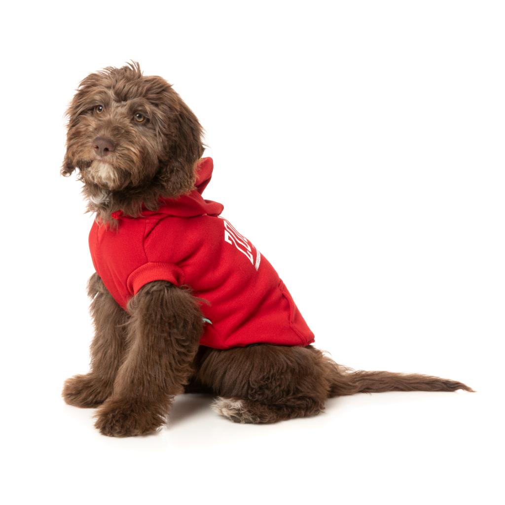 Felpa con cappuccio Zoomies Rosso