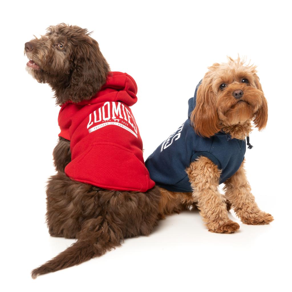 Felpa con cappuccio Zoomies Rosso