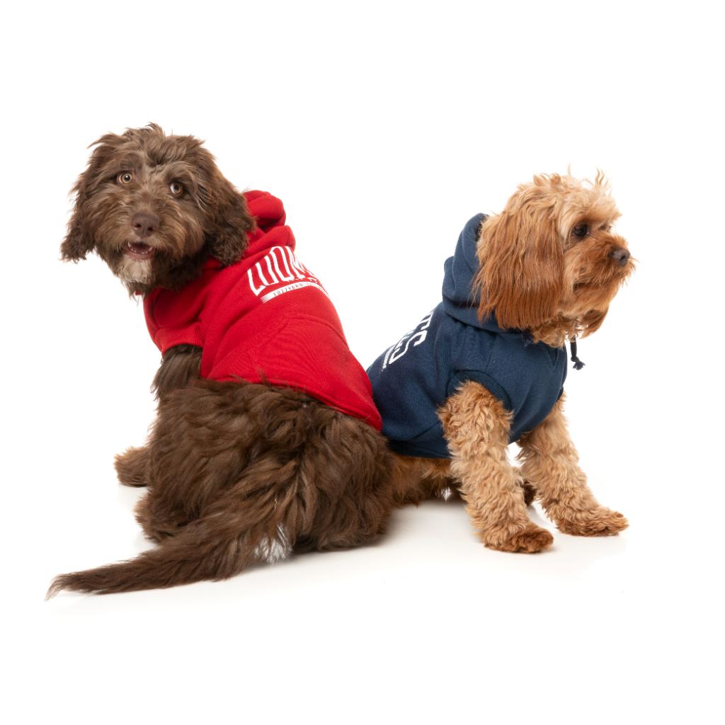 Felpa con cappuccio Zoomies Rosso