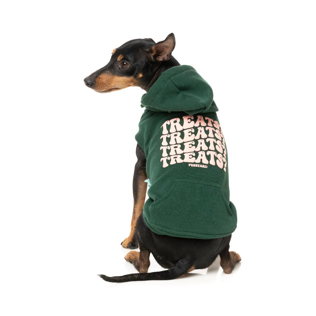 Felpa con cappuccio Treats Verde