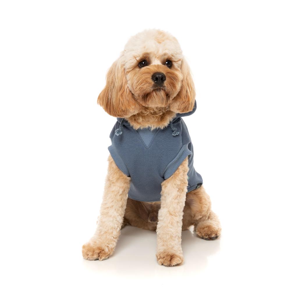 Felpa con cappuccio Treats Blu