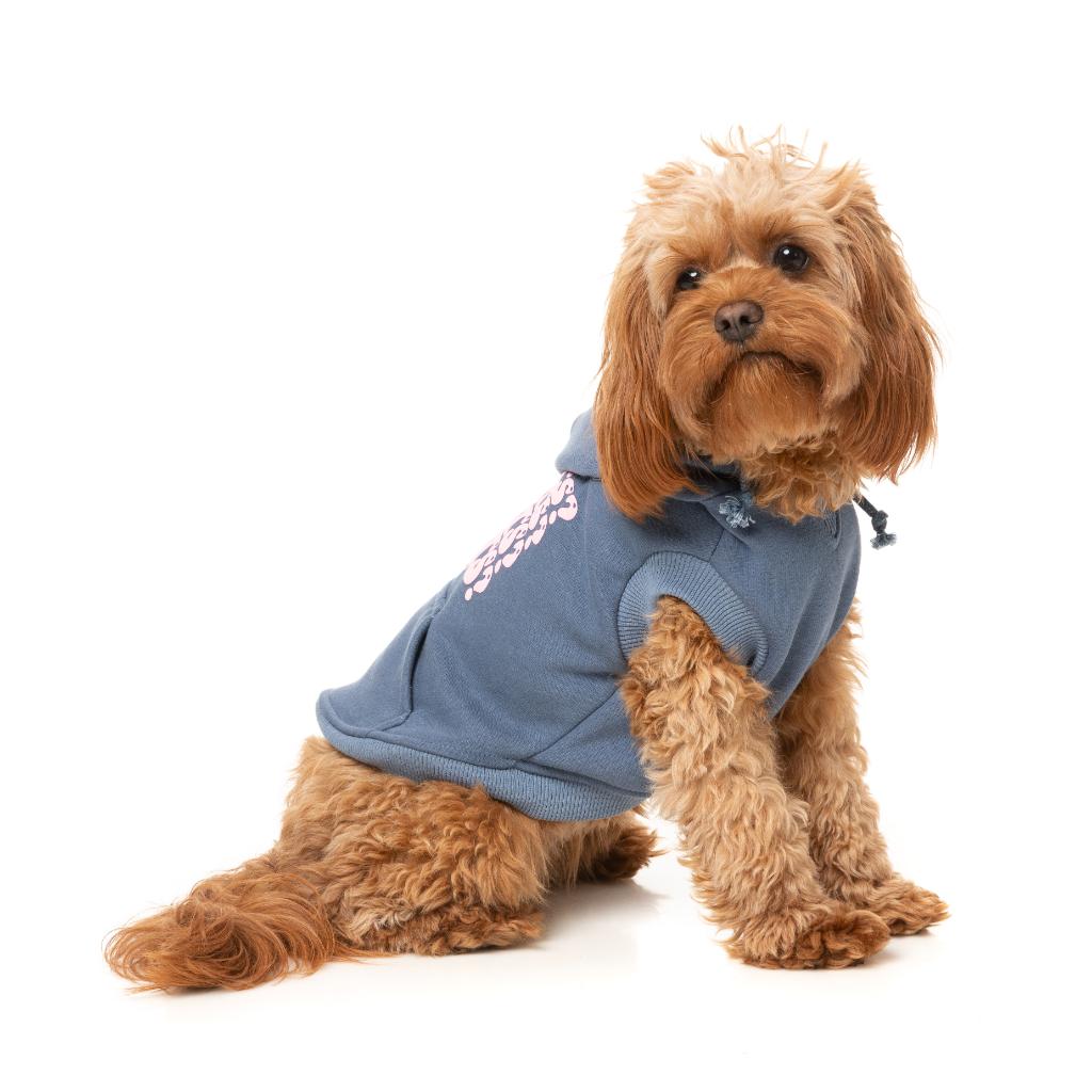 Felpa con cappuccio Treats Blu