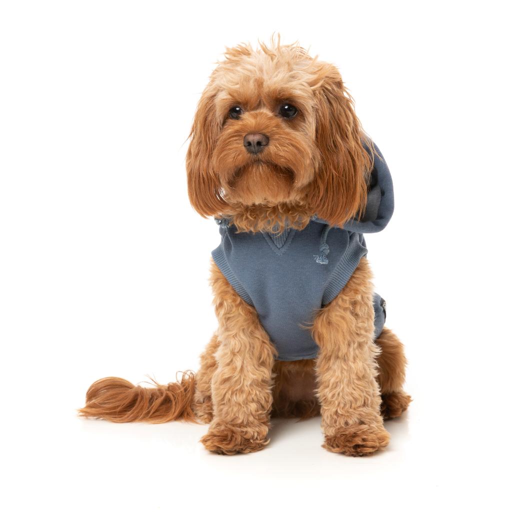 Felpa con cappuccio Treats Blu