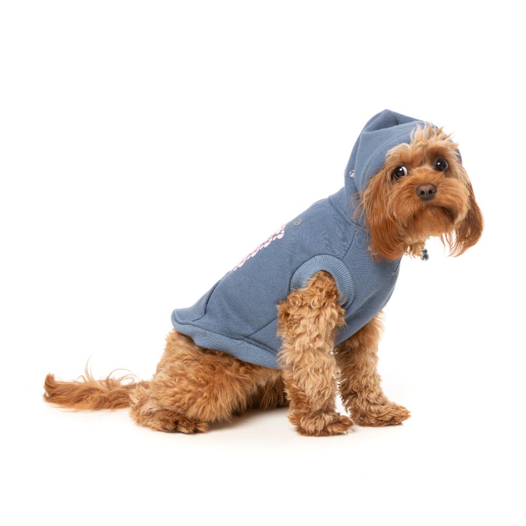 Felpa con cappuccio Treats Blu