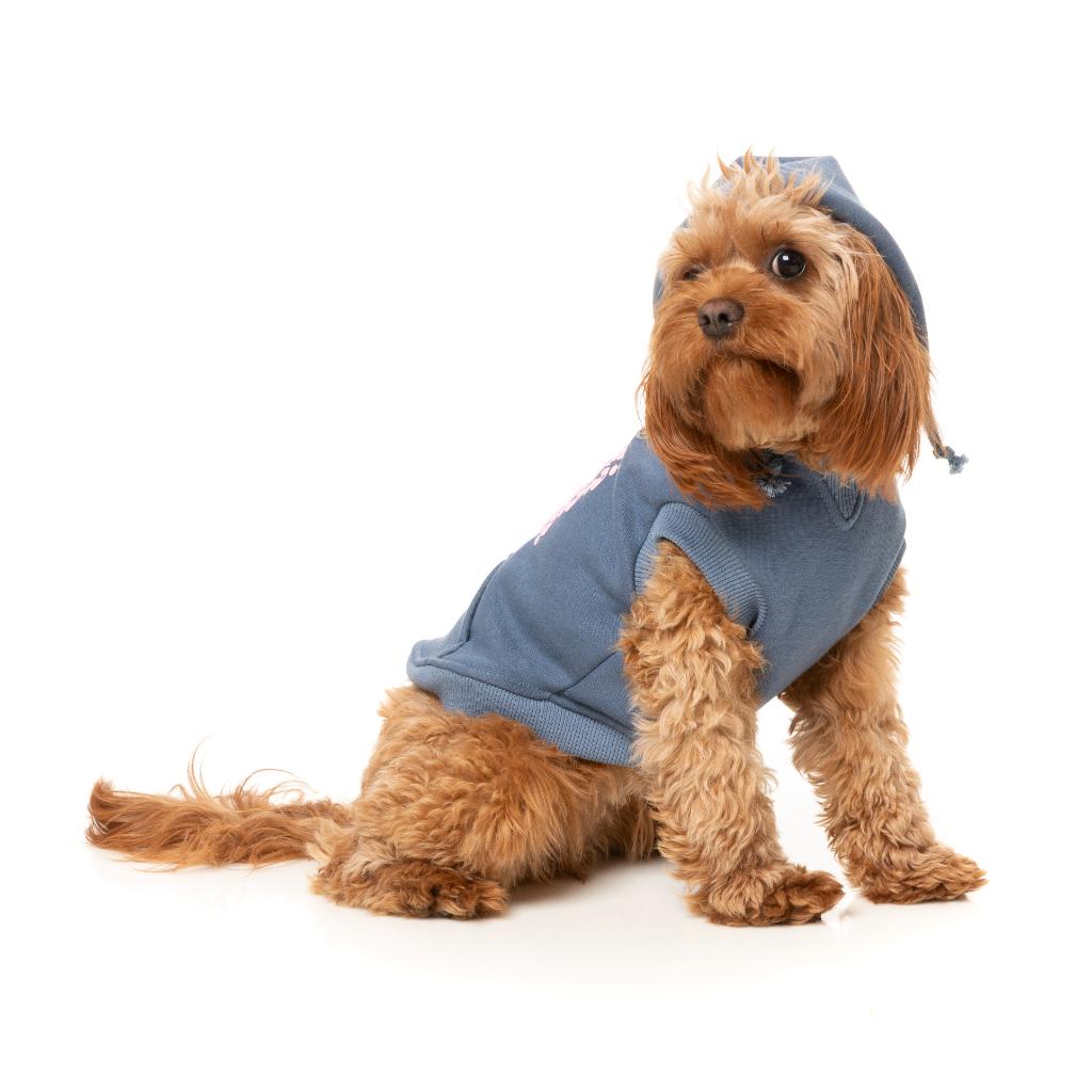 Felpa con cappuccio Treats Blu