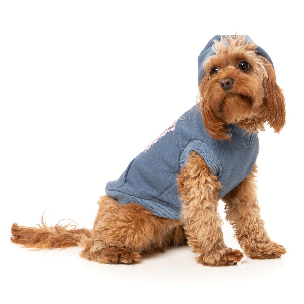 Felpa con cappuccio Treats Blu
