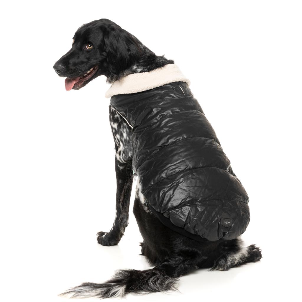 Giacca Sebastian Nero