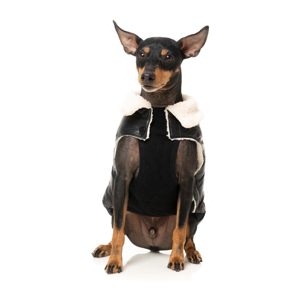 Giacca Sebastian Nero
