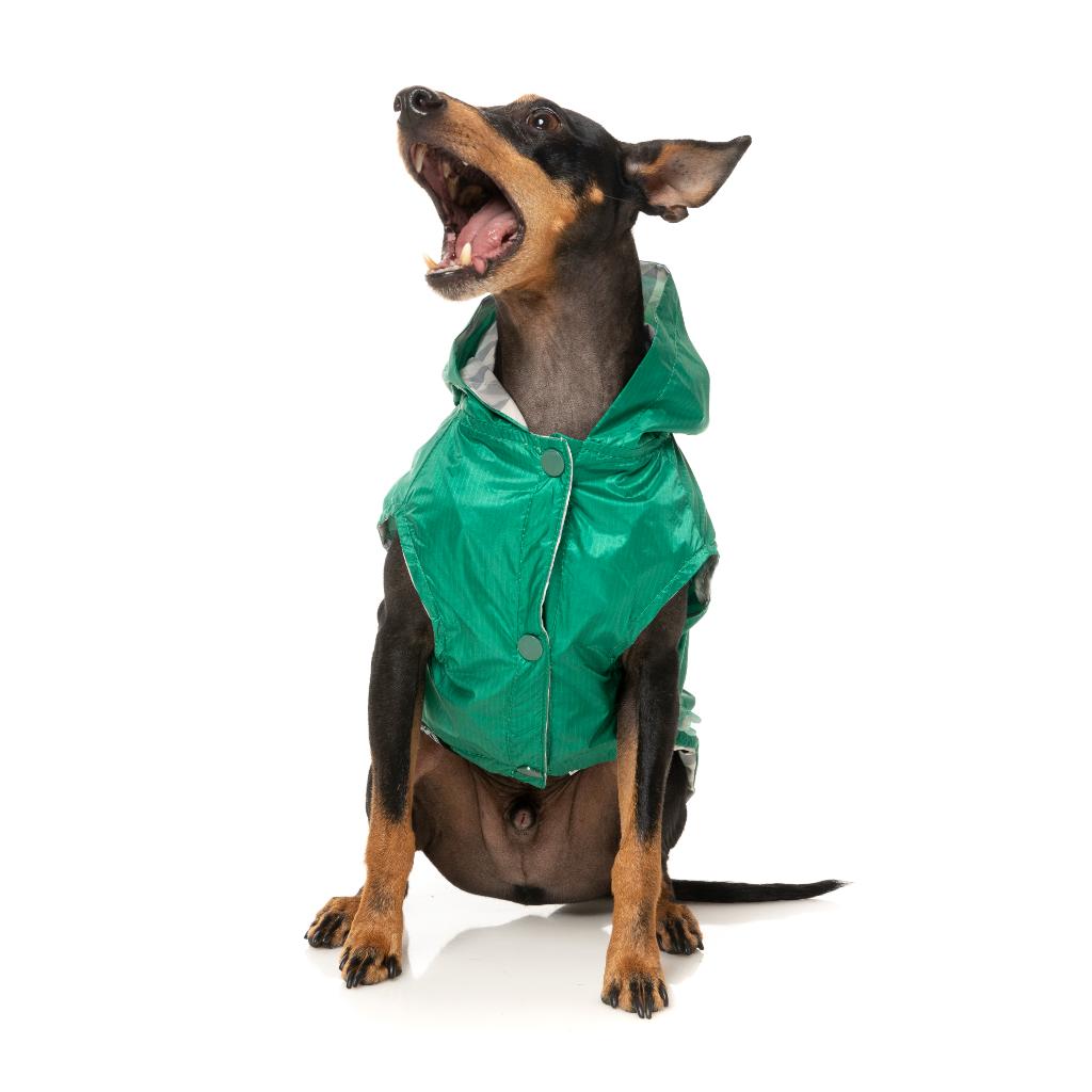 Impermeabile Flipside Verde/Beige