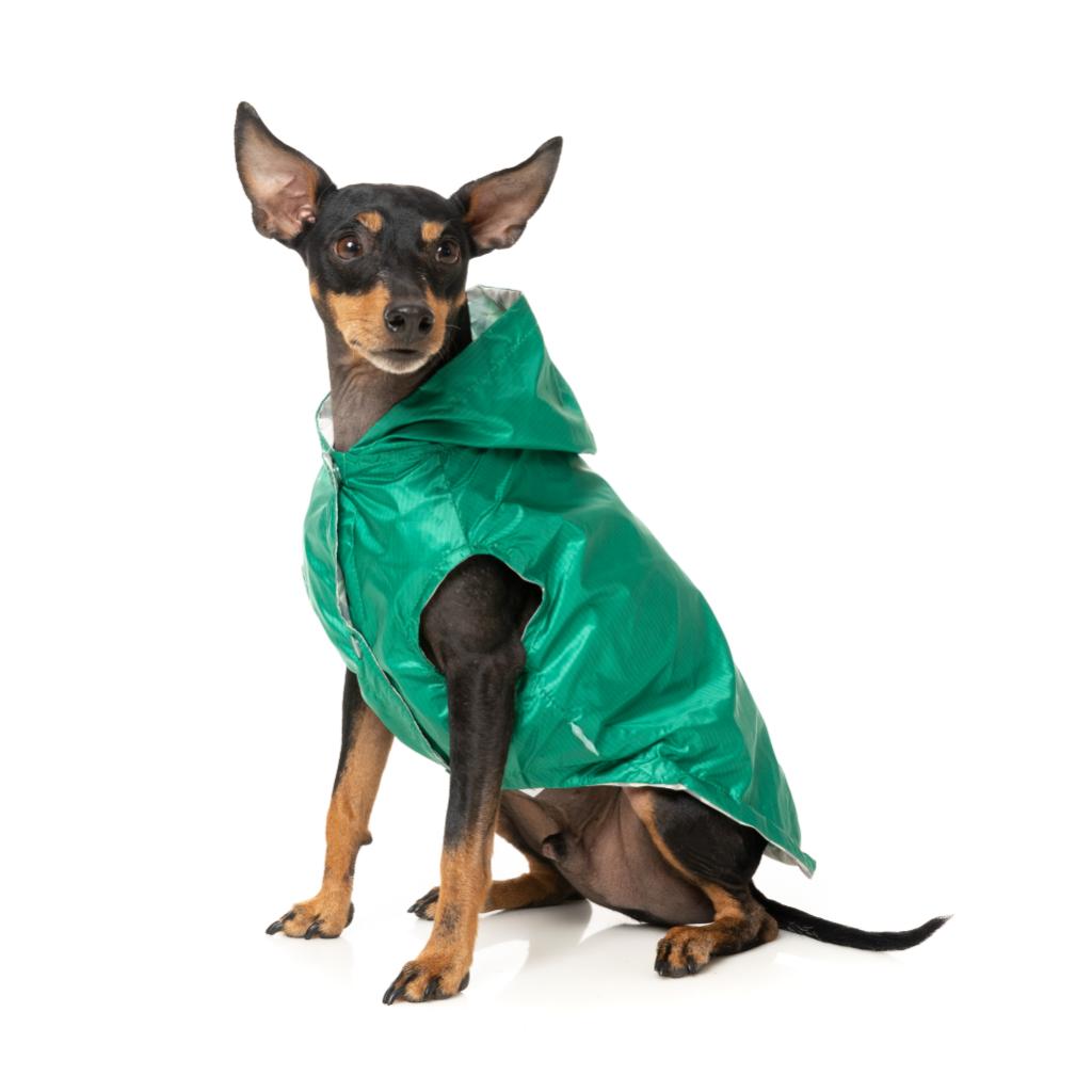 Impermeabile Flipside Verde/Beige