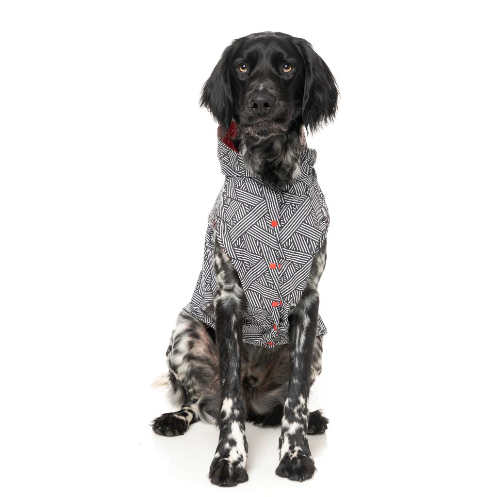 Impermeabile Flipside Rosso/Nero/Bianco