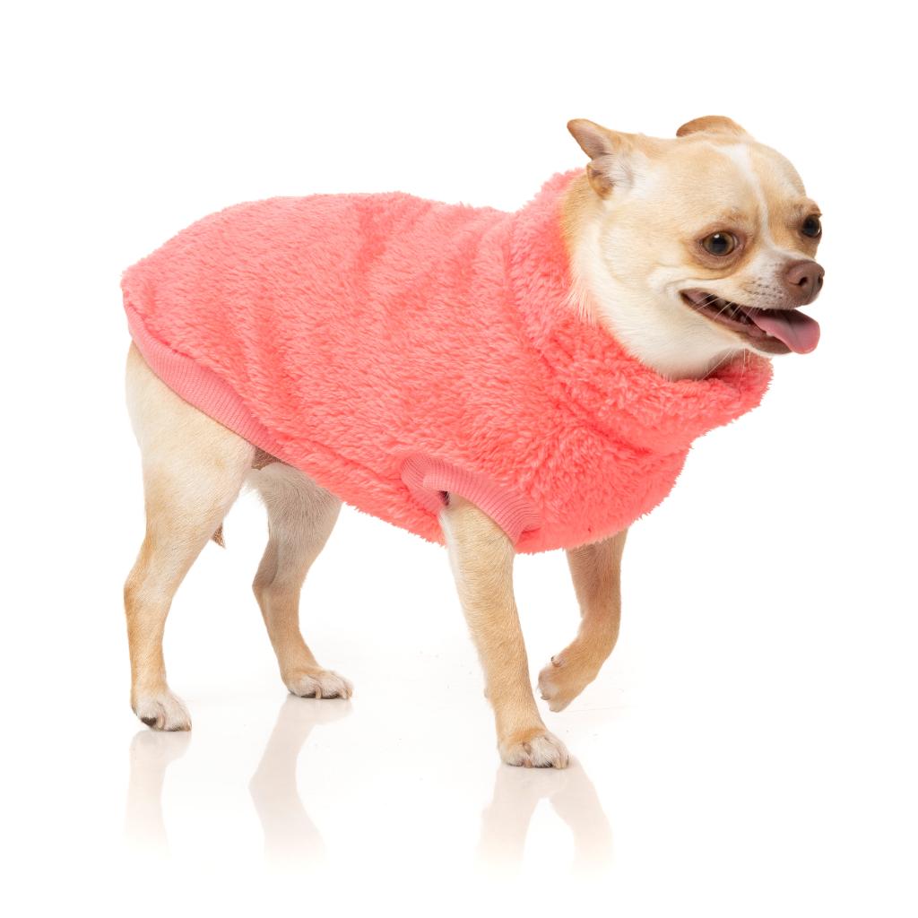 Tartaruga Teddy Peach