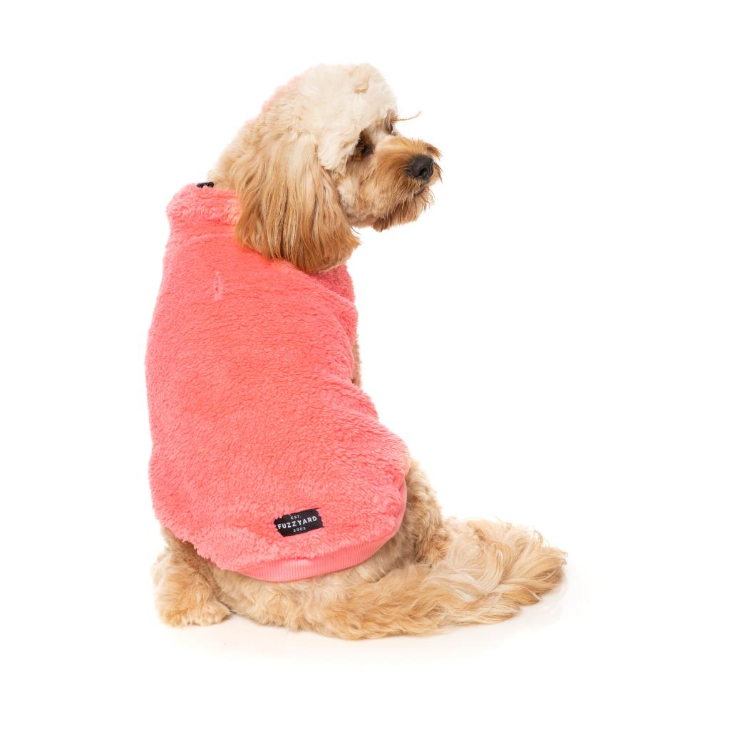 Tartaruga Teddy Peach