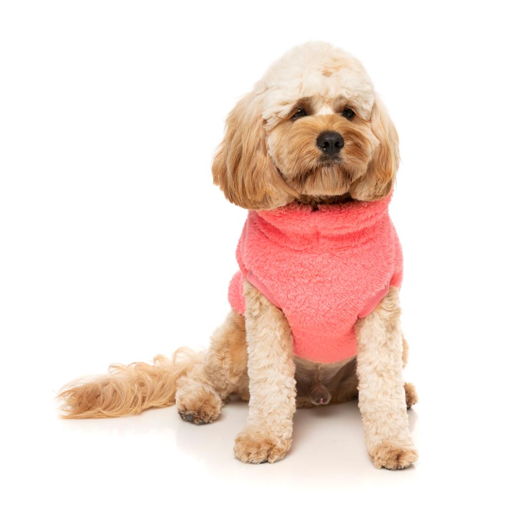 Tartaruga Teddy Peach