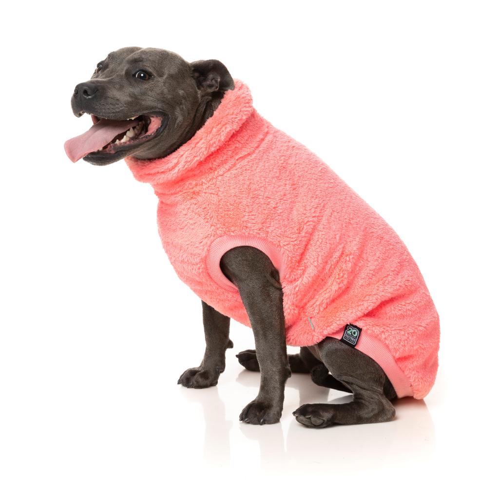 Tartaruga Teddy Peach