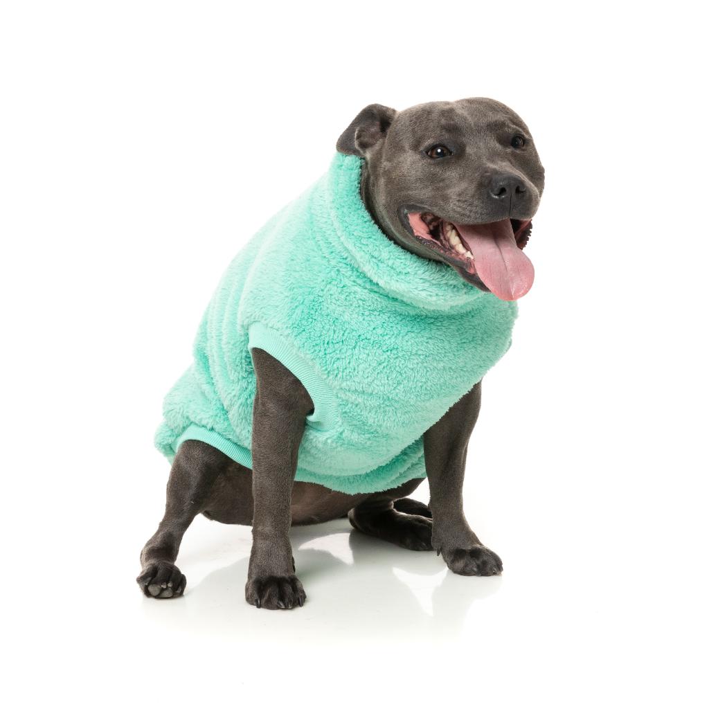 Tartaruga Teddy Teal