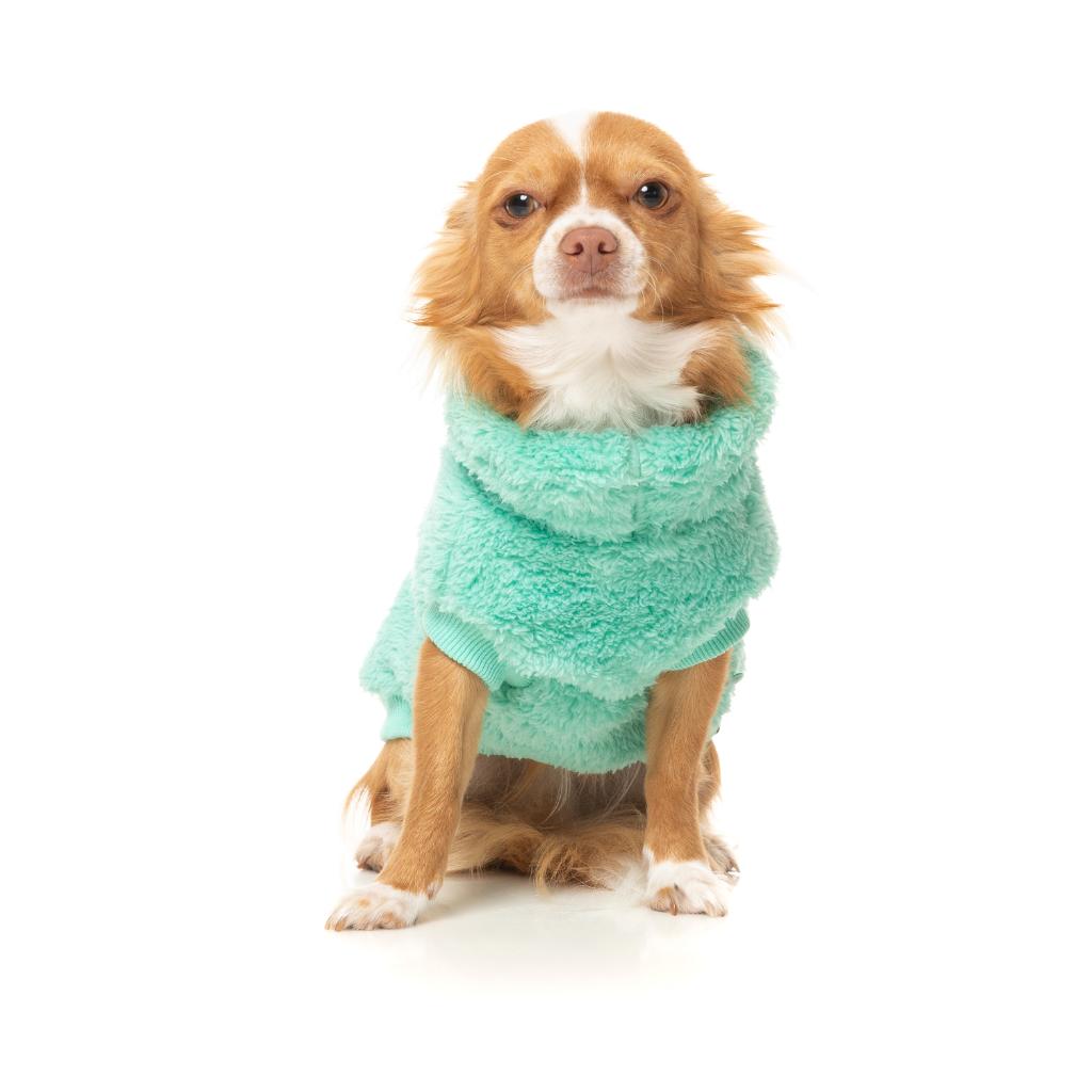 Tartaruga Teddy Teal